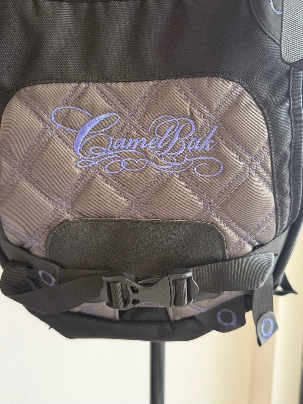Camelbak Full-size Backpack with Insulated Tube